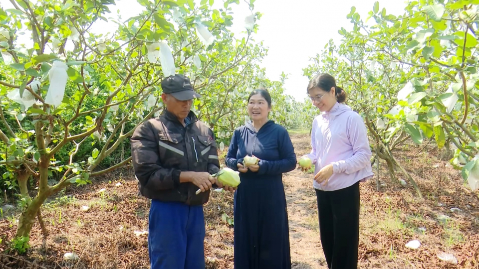 Kh&aacute;nh Thiện đa dạng c&aacute;c m&ocirc; h&igrave;nh sản xuất n&ocirc;ng nghiệp