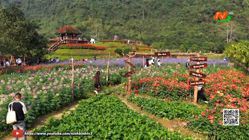Ninh B&igrave;nh lập kỷ lục đ&oacute;n kh&aacute;ch du lịch dịp Tết B&iacute;nh Ngọ 2026