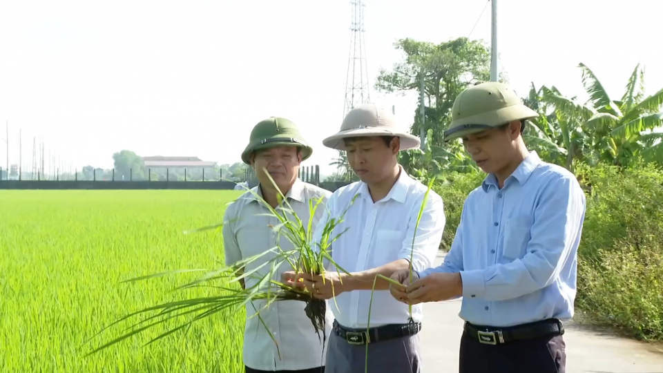 Ninh B&igrave;nh ph&aacute;t triển n&ocirc;ng nghiệp hiện đại, sinh th&aacute;i, hiệu quả
