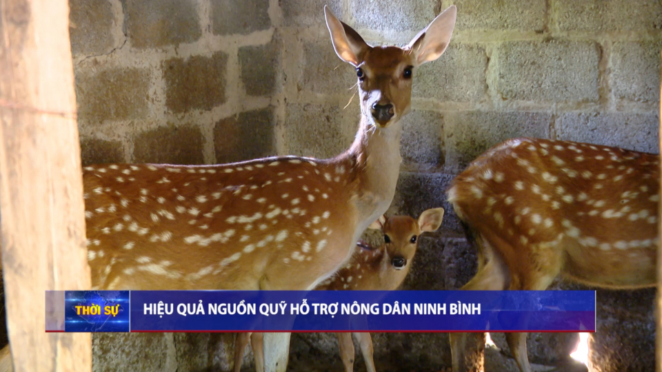 Hiệu quả nguồn Quỹ hỗ trợ N&ocirc;ng d&acirc;n Ninh B&igrave;nh