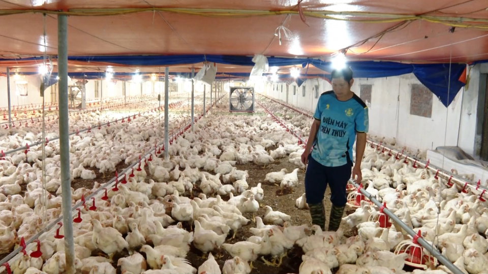 N&ocirc;ng d&acirc;n Ninh B&igrave;nh thi đua sản xuất, kinh doanh giỏi