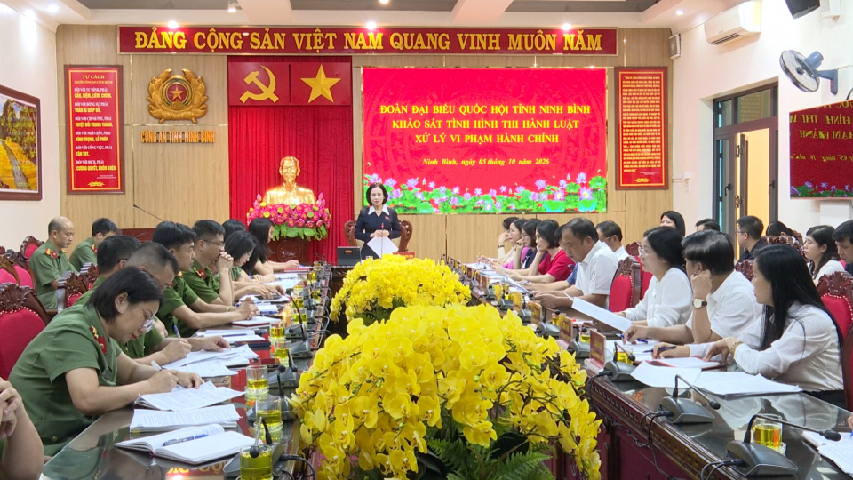 Khảo s&aacute;t t&igrave;nh h&igrave;nh thi h&agrave;nh Luật xử l&yacute; vi phạm h&agrave;nh ch&iacute;nh