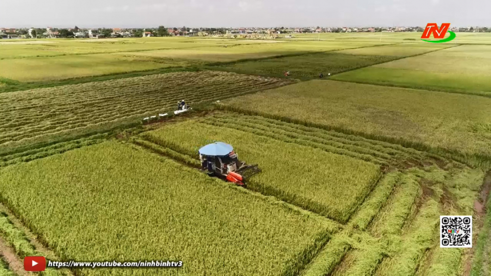 Kỳ vọng những quyết s&aacute;ch đột ph&aacute; về n&ocirc;ng nghiệp