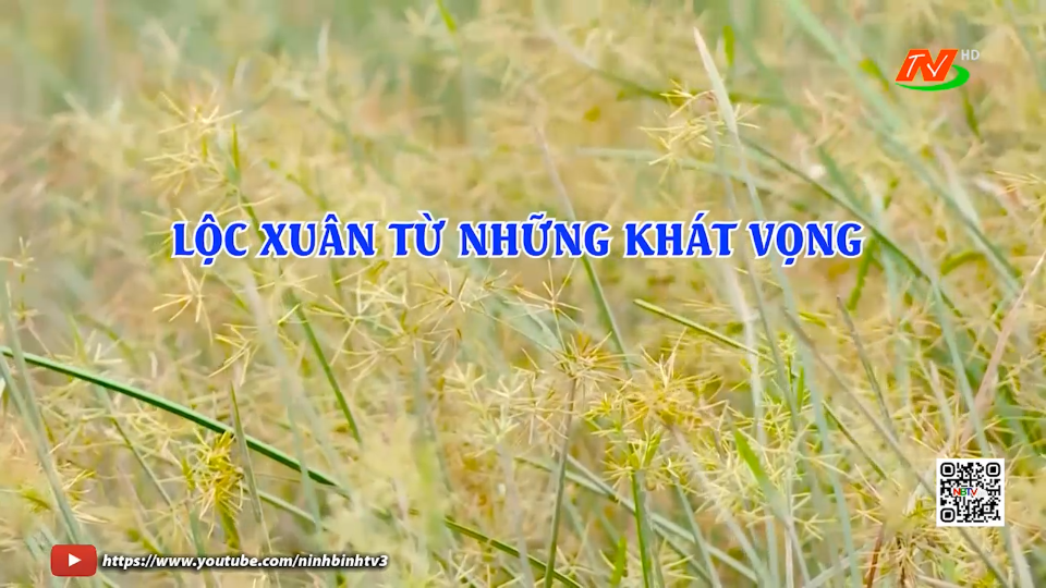 Lộc Xu&acirc;n từ những kh&aacute;t vọng