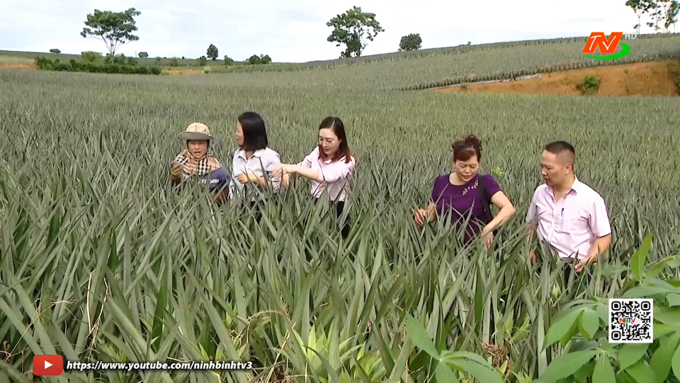 T&iacute;n dụng ch&iacute;nh s&aacute;ch - Đ&ograve;n bẩy giảm ngh&egrave;o bền vững ở Ninh B&igrave;nh