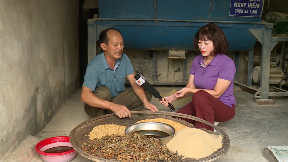 Lưu &yacute; chăn nu&ocirc;i lợn bằng thảo dược