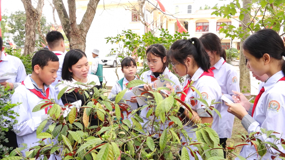 Phong tr&agrave;o thiếu nhi trong nh&agrave; trường