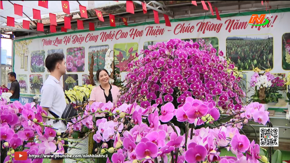 N&ocirc;ng d&acirc;n Vị Kh&ecirc; được m&ugrave;a hoa Tết