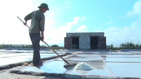 Li&ecirc;n kết sản xuất muối sạch