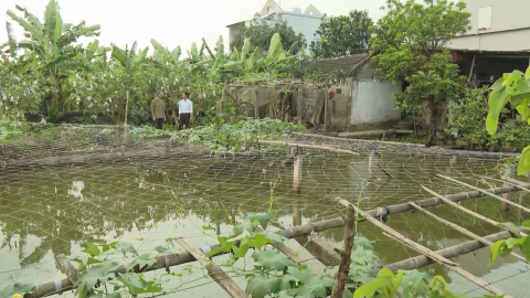 Hội CCB Y&ecirc;n Kh&aacute;nh gi&uacute;p hội vi&ecirc;n ph&aacute;t triển kinh tế