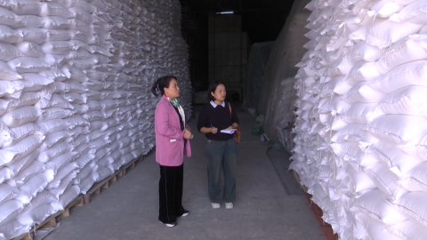 Thị trường l&uacute;a gạo sau thu hoạch