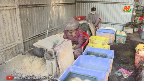 N&ocirc;ng d&acirc;n Ninh Nhất tập trung ph&aacute;t triển kinh tế