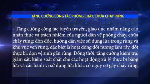 Tăng cường c&ocirc;ng t&aacute;c ph&ograve;ng ch&aacute;y, chữa ch&aacute;y rừng