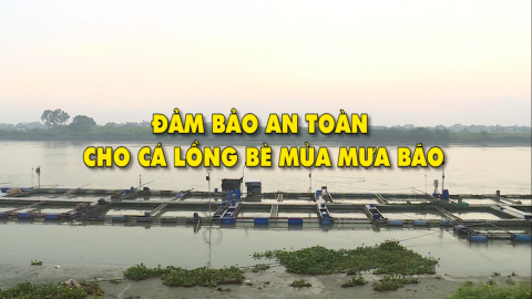 Lưu &yacute; nu&ocirc;i thủy sản m&ugrave;a mưa b&atilde;o 