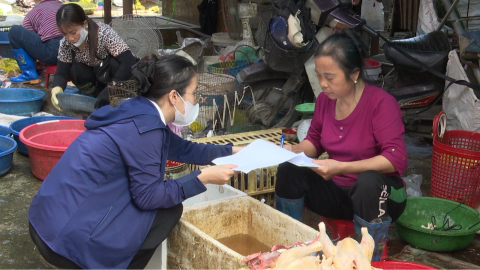 Chủ động kiểm so&aacute;t dịch bệnh tr&ecirc;n đ&agrave;n gia s&uacute;c, gia cầm