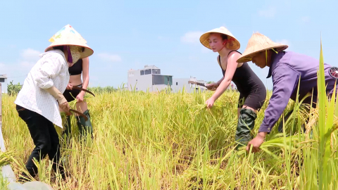 Sức h&uacute;t Du lịch Ninh B&igrave;nh m&ugrave;a thấp điểm