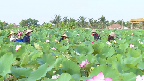 Kỳ vọng v&agrave;o bước ph&aacute;t triển mới của giai cấp N&ocirc;ng d&acirc;n Việt Nam