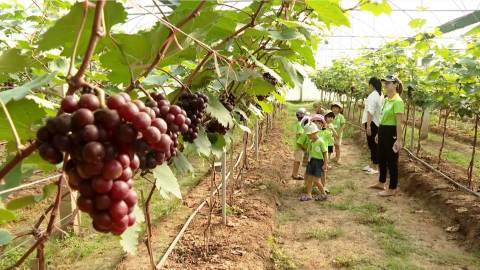 Chuyển tư duy sản xuất n&ocirc;ng nghiệp sang kinh tế n&ocirc;ng nghiệp để th&uacute;c đẩy kinh tế thị trường 