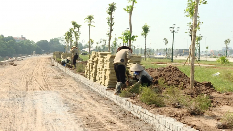 Tập trung c&aacute;c giải ph&aacute;p thu ng&acirc;n s&aacute;ch tiền sử dụng đất