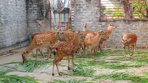 Ph&aacute;t huy vai tr&ograve; đại đo&agrave;n kết trong c&ocirc;ng t&aacute;c giảm ngh&egrave;o tại địa b&agrave;n c&oacute; đ&ocirc;ng đồng b&agrave;o d&acirc;n tộc thiểu số