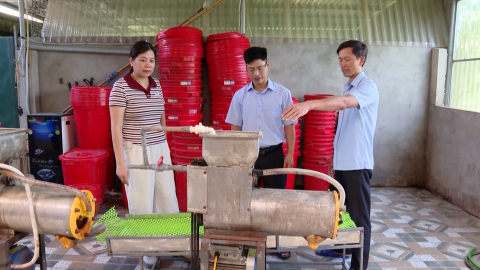 Đột ph&aacute; từ củ sắn d&acirc;y: H&agrave;nh tr&igrave;nh khởi nghiệp của n&ocirc;ng d&acirc;n Y&ecirc;n Đồng