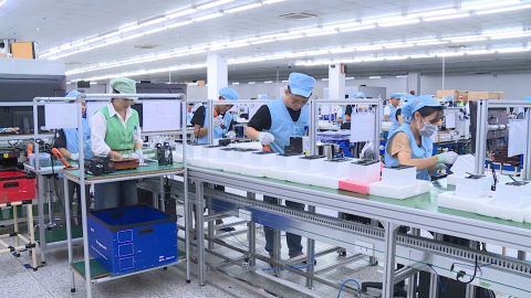 Ninh B&igrave;nh s&ocirc;i nổi phong tr&agrave;o thi đua lao động, sản xuất