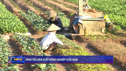 Tăng tốc sản xuất n&ocirc;ng nghiệp cuối năm