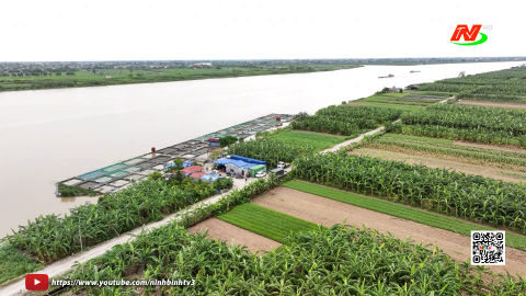 Ninh B&igrave;nh ph&aacute;t triển ng&agrave;nh thủy sản xanh