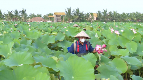 Phong tr&agrave;o n&ocirc;ng d&acirc;n sản xuất, kinh doanh giỏi - Động lực ph&aacute;t triển kinh tế n&ocirc;ng th&ocirc;n