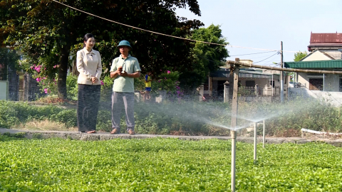 Ứng dụng kỹ thuật, c&ocirc;ng nghệ trong trồng, chế biến rau m&aacute;  