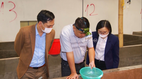 Biện ph&aacute;p ph&ograve;ng, chống một số bệnh nguy hiểm tr&ecirc;n t&ocirc;m nước lợ
