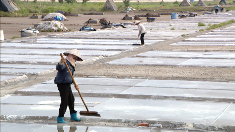 Giữ " Vị mặn " qu&ecirc; hương tr&ecirc;n đồng muối truyền thống