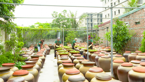 Khởi nghiệp từ m&ocirc; h&igrave;nh sản xuất chanh s&agrave;nh 