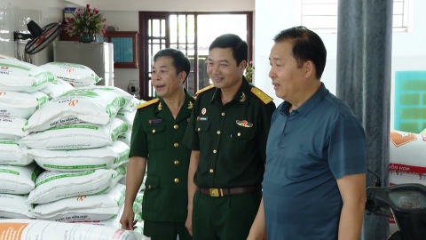 Hi&ecirc;̣u quả từ m&ocirc; h&igrave;nh kinh tế của Hội Cựu chiến binh x&atilde; Hải Tiến