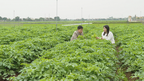 X&acirc;y dựng khu d&acirc;n cư n&ocirc;ng th&ocirc;n mới kiểu mẫu ở Gia Viễn