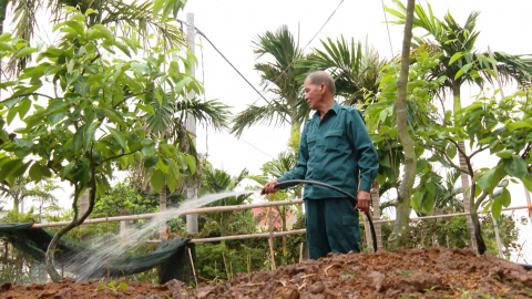 Cựu chiến binh x&atilde; Hải Anh, n&acirc;ng cao chất lượng hoạt động c&ocirc;ng t&aacute;c Hội