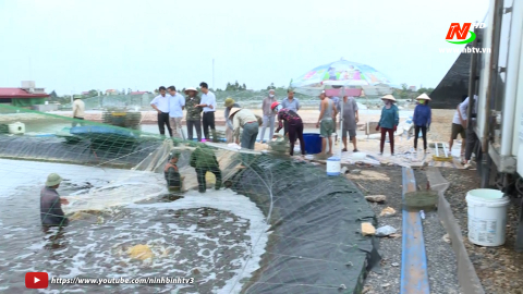 Kim Sơn tập trung ph&aacute;t triển kinh tế biển theo Nghị quyết 11-NQ/TU của Ban Chấp h&agrave;nh Đảng bộ tỉnh