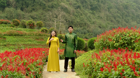 Giai điệu qu&ecirc; hương