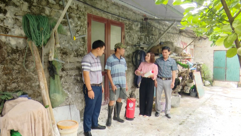 Đồng Th&aacute;i tăng cường ph&ograve;ng, chống dịch bệnh tr&ecirc;n đ&agrave;n vật nu&ocirc;i