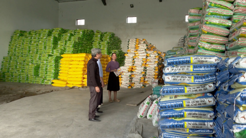 Gi&aacute; ph&acirc;n b&oacute;n tăng, giải ph&aacute;p đảm bảo sản xuất