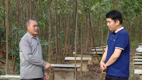 Gia Hưng đẩy mạnh ph&aacute;t triển kinh tế