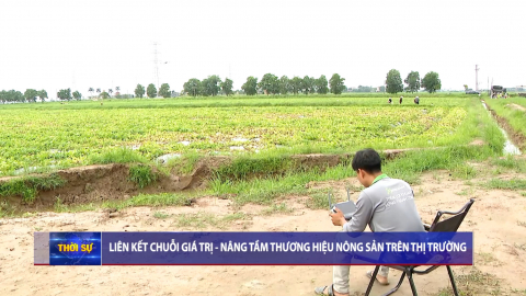 Li&ecirc;n kết chuỗi gi&aacute; trị - N&acirc;ng tầm thương hiệu n&ocirc;ng sản tr&ecirc;n thị trường