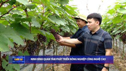Ninh B&igrave;nh quan t&acirc;m ph&aacute;t triển n&ocirc;ng nghiệp c&ocirc;ng nghiệ cao