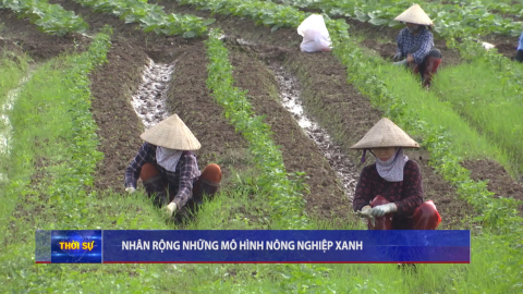 Nh&acirc;n rộng những m&ocirc; h&igrave;nh n&ocirc;ng nghiệp xanh