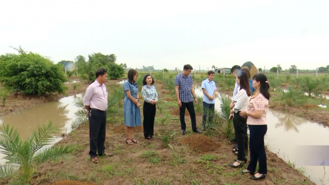 Hội phụ nữ huyện Y&ecirc;n Kh&aacute;nh hỗ trợ hội vi&ecirc;n sản xuất, kinh doanh