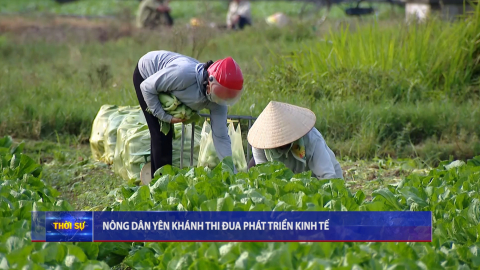 N&ocirc;ng d&acirc;n Y&ecirc;n Kh&aacute;nh thi đua ph&aacute;t triển kinh tế