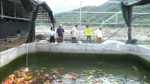L&agrave;m gi&agrave;u từ kinh tế trang trại