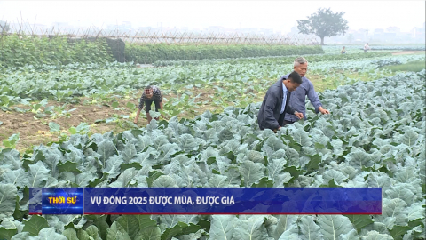 Vụ đ&ocirc;ng 2025 được m&ugrave;a, được gi&aacute;