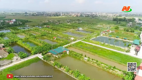 Sức sống mới tr&ecirc;n v&ugrave;ng đất sỏi