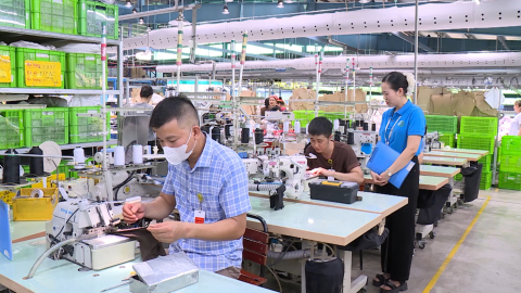 Thi đua lao động theo lời B&aacute;c 